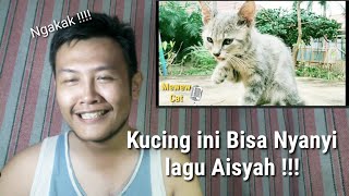 Reaksi Melihat Kucing nyanyi lagu Aisyah Mau ketawa NGAKAK  LUCU BANGET [upl. by Ytinirt]