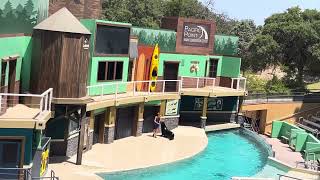 Seaworld San Antonio Texas ￼ foca 🦭 [upl. by Supple328]