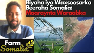 Biyaha iyo Waxsoosaarka Beeraha Somalia Maaraynta Waraabka [upl. by Aleyam598]