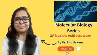 Molecular Biology Series Part Two Nucleic Acids Structure II DNA RNA structure [upl. by Noramac]