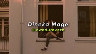 Dineka Mage SlowedReverb  Shihan Mihiranga  SlowMoLK [upl. by Niltiak]