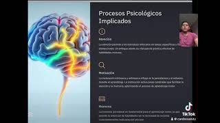 Plasticidad cerebral en el aprendizaje motor [upl. by Mccandless827]