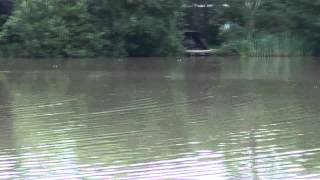 WINTONS FISHERY BURGESS HILL WEST SUSSEX [upl. by Lledal]