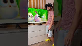 ANGRY birds 🤪🤣 funny videos [upl. by Dannie]