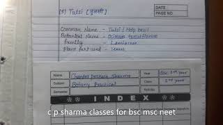 TULSI medicinal plant Ocimum tenuiflorum botany file hindi amp english by c p sharma classes umcj [upl. by Westfahl436]