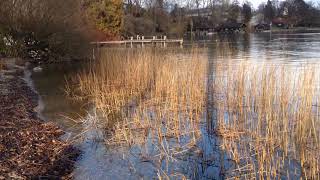 Tutzing am Starnberger See  Kustermann Park [upl. by Eleahcim27]