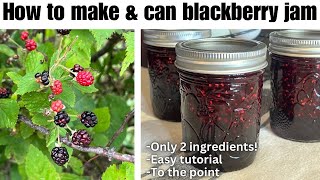 How to Make amp Can Blackberry Jam ONLY 2 INGREDIENTS Step by step tutorial for beginner canners [upl. by Heer20]