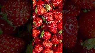 Strawberry Festival at Crave Junction Kandivali [upl. by Areis]