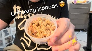 Unboxing ISOPODS [upl. by Killarney]