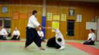 Bruno Zanotti Aikido [upl. by Ludvig278]