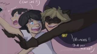 Miraculous Ladybug Comic  you scared me chat [upl. by Zeena334]