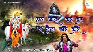 हाय जादू कर गए रे नैना कारे कारे  Vimal Dixit  Hay Jadu Kar Gaye Re Naina Kare Kare  Bhajan 2021 [upl. by Einreb774]