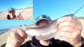 Beach Fishing Great Yarmouth South Beach fishing fish bass [upl. by Hada651]