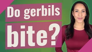 Do gerbils bite [upl. by Garcon]