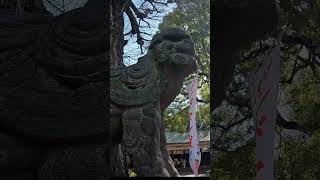 駒込天祖神社 Shorts japan japanese [upl. by Eidnew173]