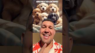 Subscribe if you love puppies 😂❤️ shortsvideo viralvideos funny puppy cute [upl. by Egiedan]