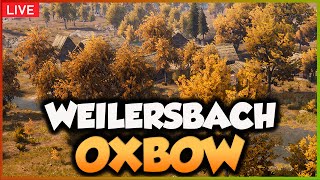 EUER WEILERSBACH entsteht🌱 MEDIEVAL DYNASTY THEMENDÖRFER  Gameplay 🌱 Livestream [upl. by Ynehteb]