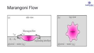 Marangoni Flow [upl. by Suh689]