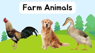 Farm Animals for Toddlers  Pets Animals  Animals For Kids  Flashcard And Charts [upl. by Arenat]