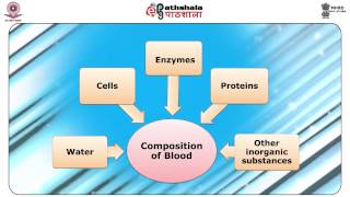 Forensic biology and serology introduction FSC [upl. by Artiek289]