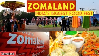 Zomaland Delhi 2019  Zomaland food fest  Biggest food fest [upl. by Jeu]