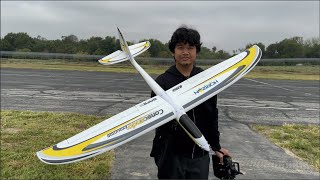 EFLITE CONSCENDO EVOLUTION 15M  GLIDER THINKS ITS A JET [upl. by Oinimreh]