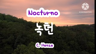 Nocturno  C Henze  녹턴 Played by J Y Kim classical guitar [upl. by Nnaylrebmik49]