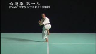 Waza Byakuren Ken Dai Ikkei Shorinji Kempo [upl. by Kcirneh]