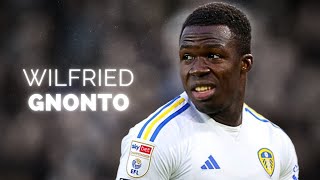 Wilfried Gnonto  Season Highlights  2024 [upl. by Nilcaj]