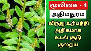 Athimathuram Benefits Tamil  Glycyrrhiza Glabra  Sweet Root  Athimathuram Beauty Tips  அதிமதுரம் [upl. by Igor]