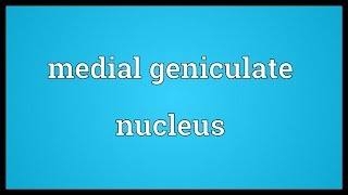 Medial geniculate nucleus Meaning [upl. by Lud]