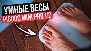 Умные весы Picooc Mini Pro V2 Разбор функционала полный обзор [upl. by Claudell]