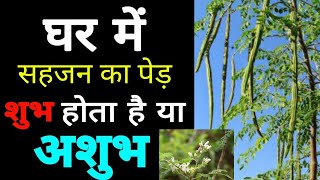 सहजन का पेड़ घर में लगाना शुभ या अशुभ Know Planting Sahjan Tree is good or not [upl. by Welcome280]