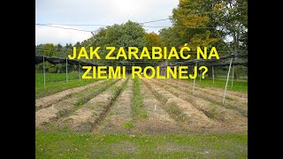 134 JAK ZARABIAĆ NA ZIEMI ROLNEJ JAK ROBIĆ TO SKUTECZNIE FORMY I RODZAJE ZAROBKU OPŁACALNOŚĆ [upl. by Nauhs802]