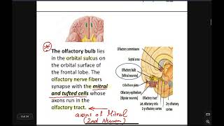 HU PNS Anatomy Lecture 1 Part 1  Central Pathway of Special Sensations [upl. by Britta580]