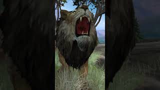 Lions Roaring Lion Roar sound effect  lion sounds  lion [upl. by Mccallion916]