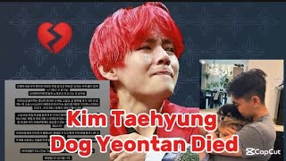 Taehyung and Yeontan 💔 taehyung bts shorts btsarmy [upl. by Gerfen694]