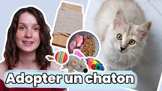 Les INDISPENSABLES pour adopter un chaton  TOUT ce qu’il vous faut [upl. by Akinwahs]