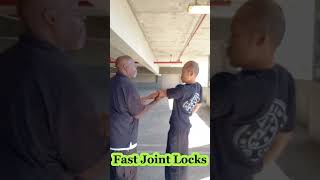 Wing Chun Joint lock flow 2 [upl. by Tosch882]