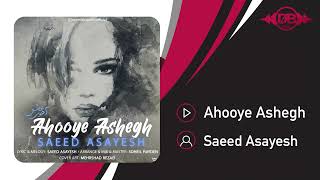 Saeed Asayesh  Ahooye Ashegh  OFFICIAL TRACK سعید آسایش  آهوی عاشق [upl. by Akimas435]