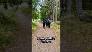 An unexpected meeting in the Björnö Nature Reserve  Björnö Reservatet  Ingarö Sweden 🇸🇪 [upl. by Martin]