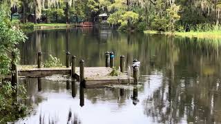 Rainbow River Dunnellon Florida after Hurricane Milton￼ Thankfully We Were Spared ￼ [upl. by Shaver572]