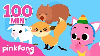 Peekapoo  Fun Animal Songs Compilation for Kids  Pinkfong Baby Shark [upl. by Shermie]