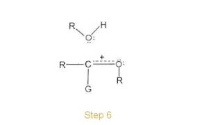 Mechanism of acetal ketal formation [upl. by Naellij266]