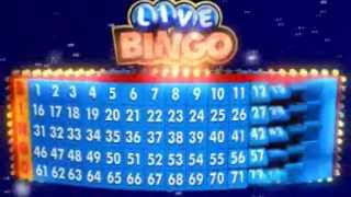 Bingo Live DVD intro [upl. by Llirret]