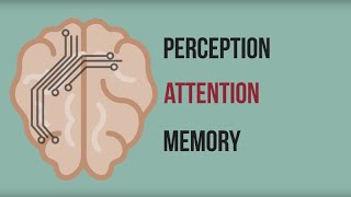 Neuromarketing Inside the Mind of the Consumer [upl. by Nicolis]