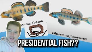 Fish Biologist Reacts to Sam O’Nellas quotAnimals Scientific Names” [upl. by Babbette241]