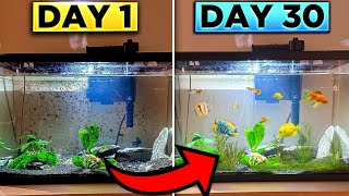 Simulating a Fresh Water Ecosystem for 30 DAYS [upl. by Eelana659]