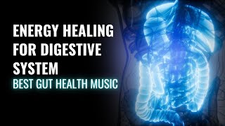 Improve Your Digestive Health  Energy Healing for Digestive System  Best Gut Health Music  528 Hz [upl. by Herzen]