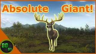 Hunting Whitetails with the 300 MAGNUM in TheHunter Classic [upl. by Suhpesoj943]